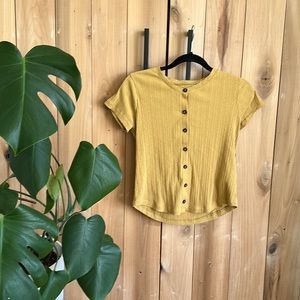 Madewell Pointelle Button-Front Slim Tee in Earthen Gold